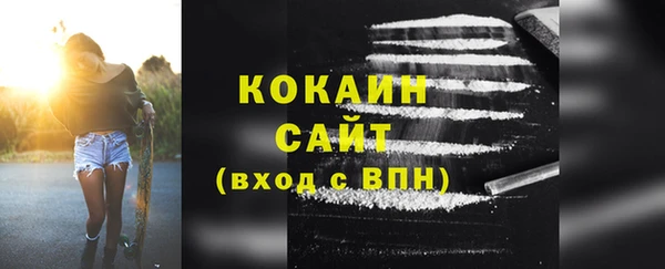 стафф Алзамай