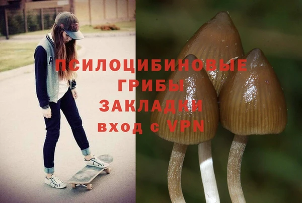 амфетамин Алексин