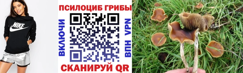 блэк спрут ONION  купить закладку  Анапа  Псилоцибиновые грибы GOLDEN TEACHER 